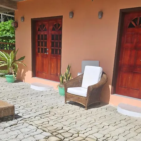 The Jungle Escape Apartment 02